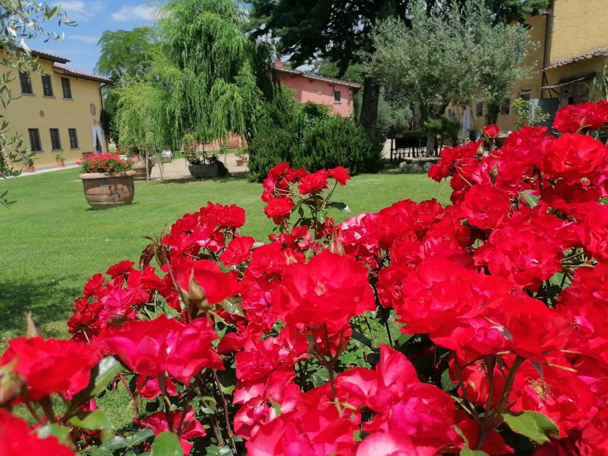 Podere Piandarca Terranuova Bracciolini Exterior photo