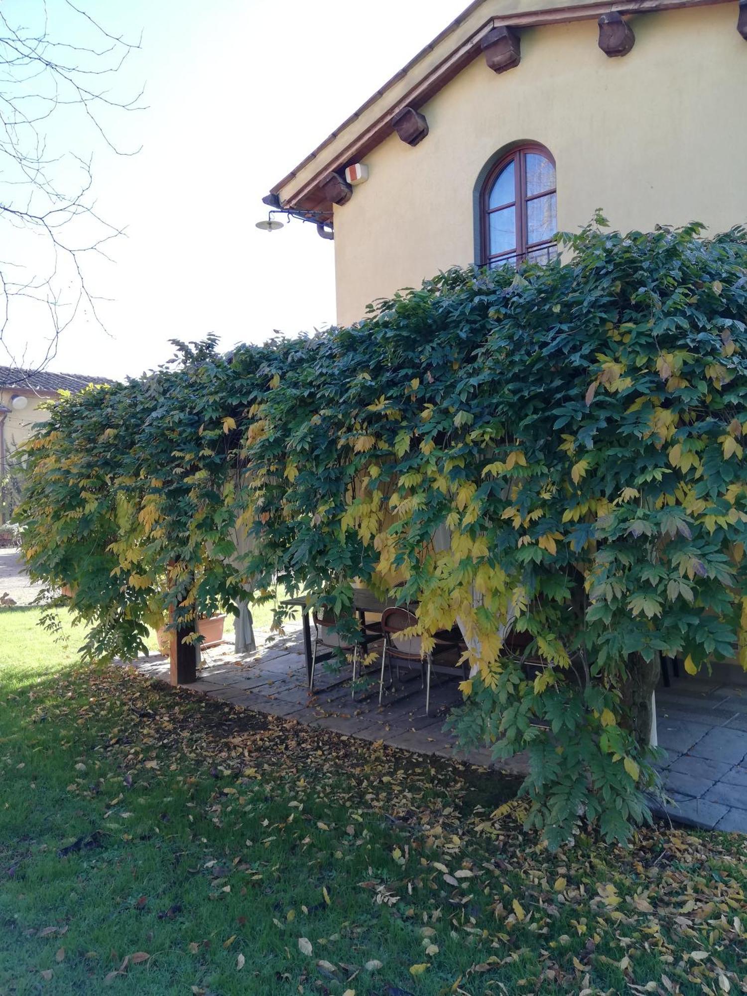 Podere Piandarca Terranuova Bracciolini Exterior photo